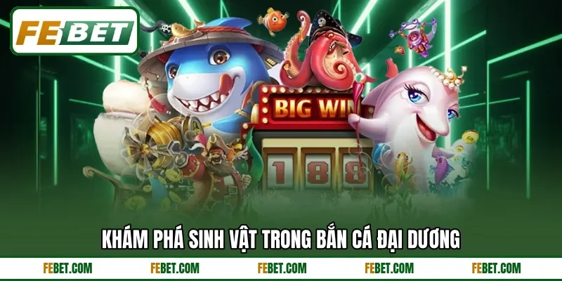 Khám phá sinh vật trong bắn cá đại dương
